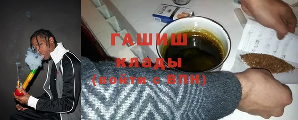 гашик Алексин