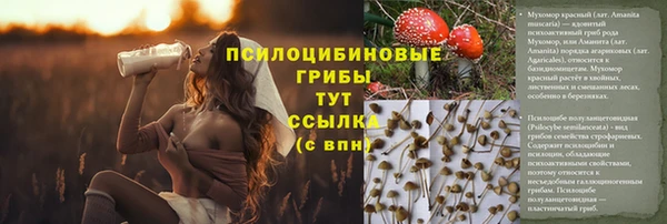 spice Осинники
