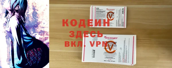 гашик Алексин