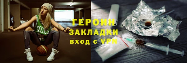 гашик Алексин