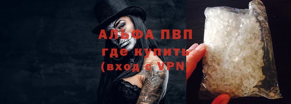 гашик Алексин