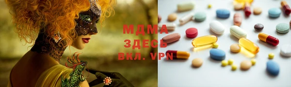 гашик Алексин