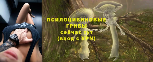 гашик Алексин