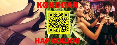 гашик Гай