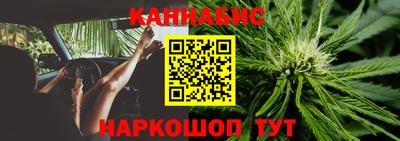 гашик Гай