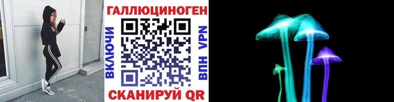 наркошоп  Тобольск  Псилоцибиновые грибы GOLDEN TEACHER 